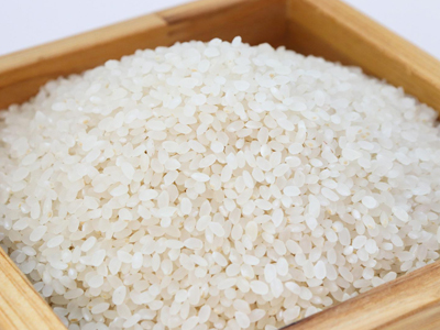 Rice